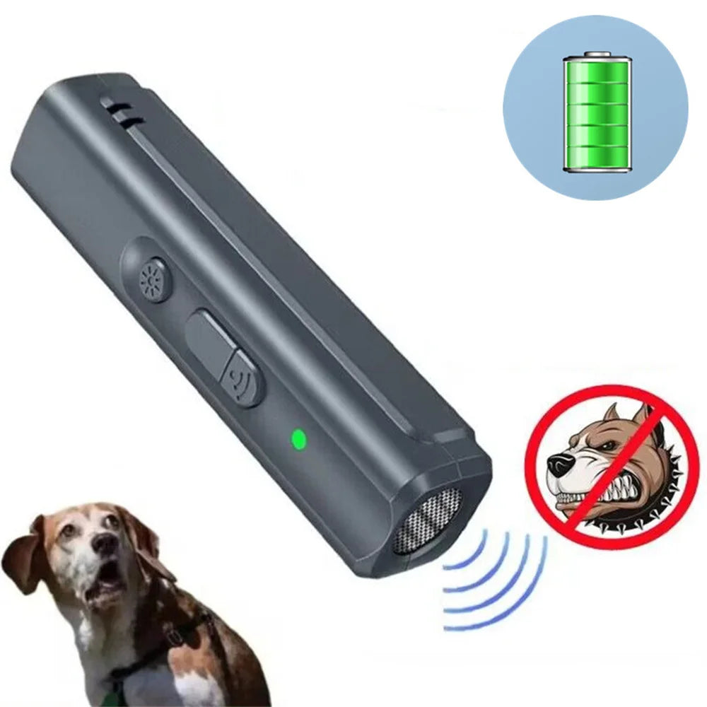 O cachorro saiu do portão. E agora?